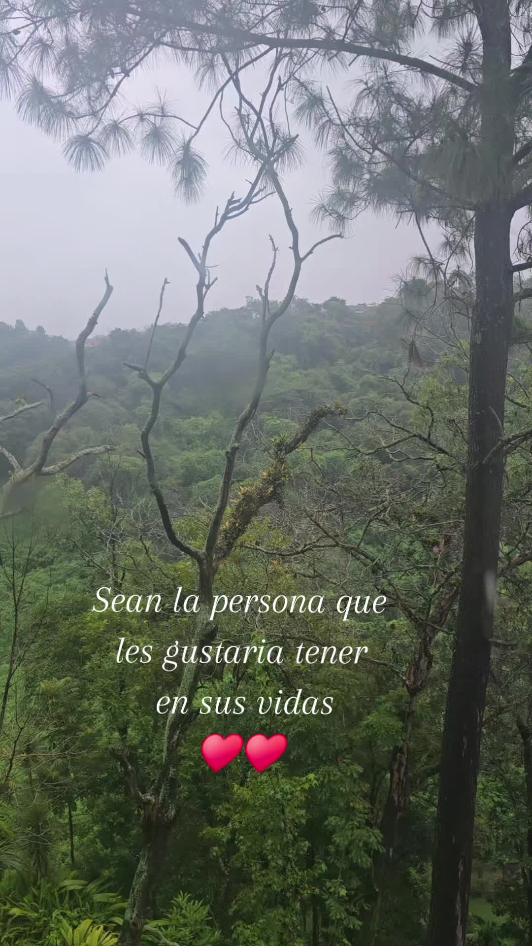 @Yoja ❤️🦋