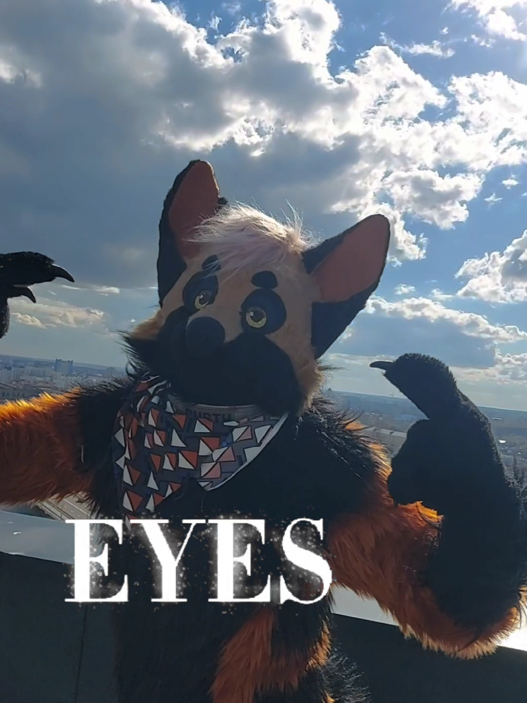 @RUSTY#WingedFox