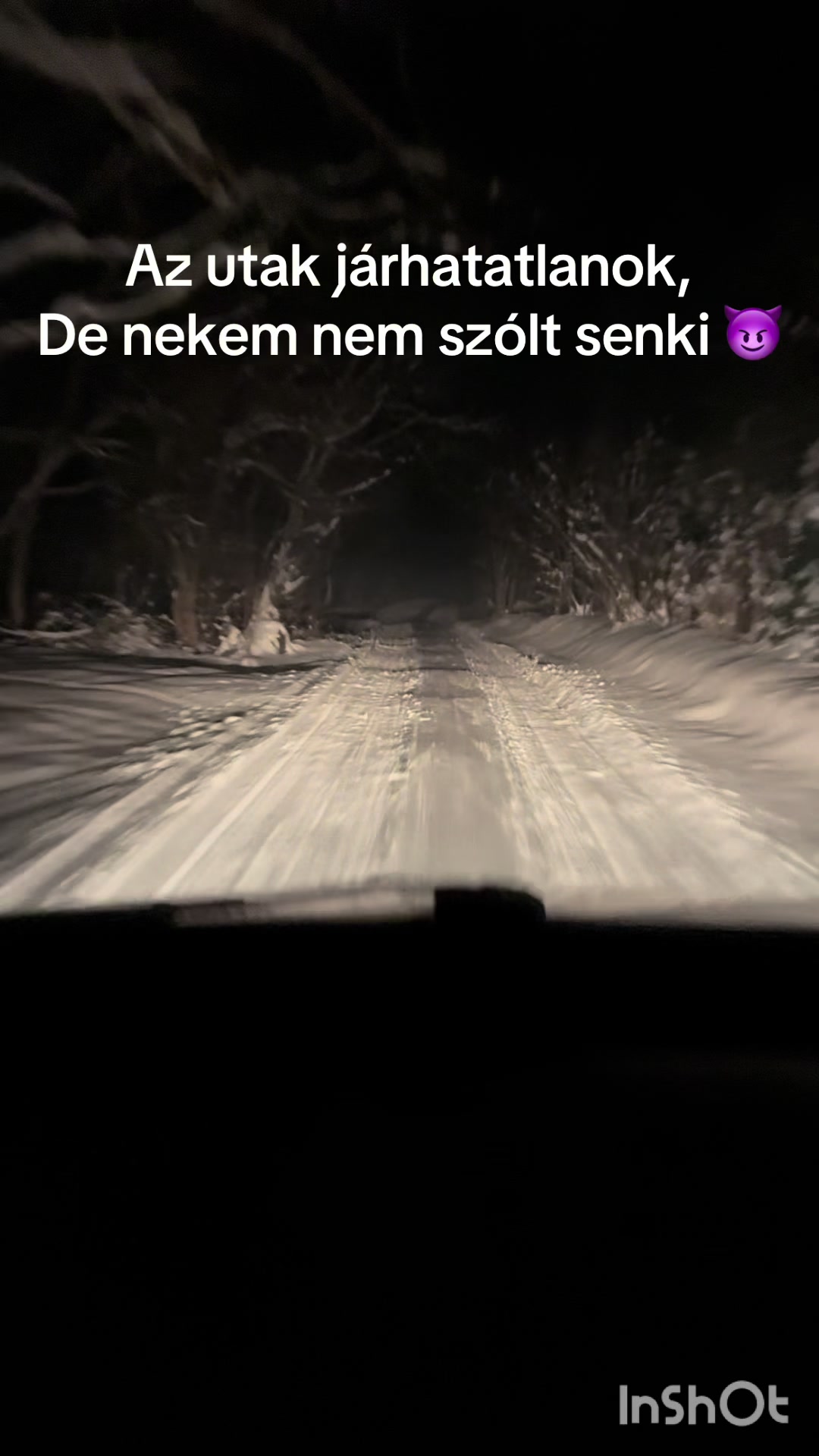 @Tivi🐺