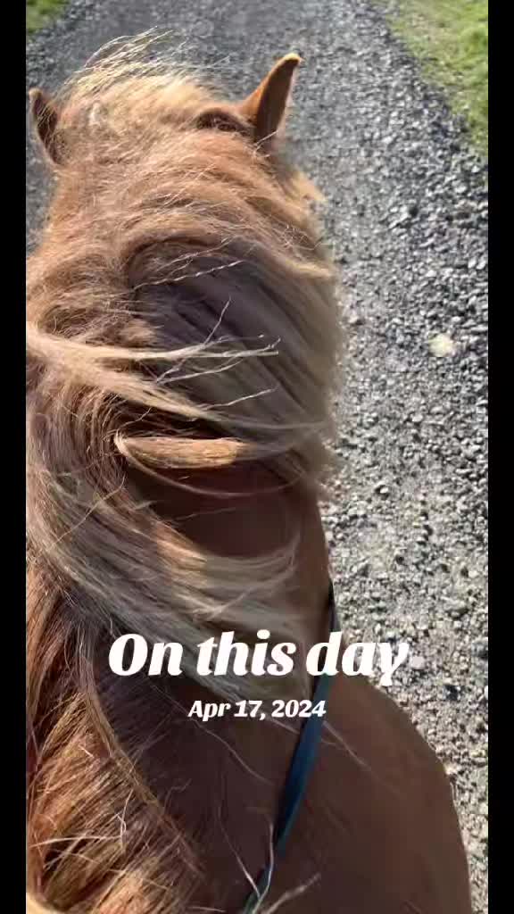 @user9272809487429