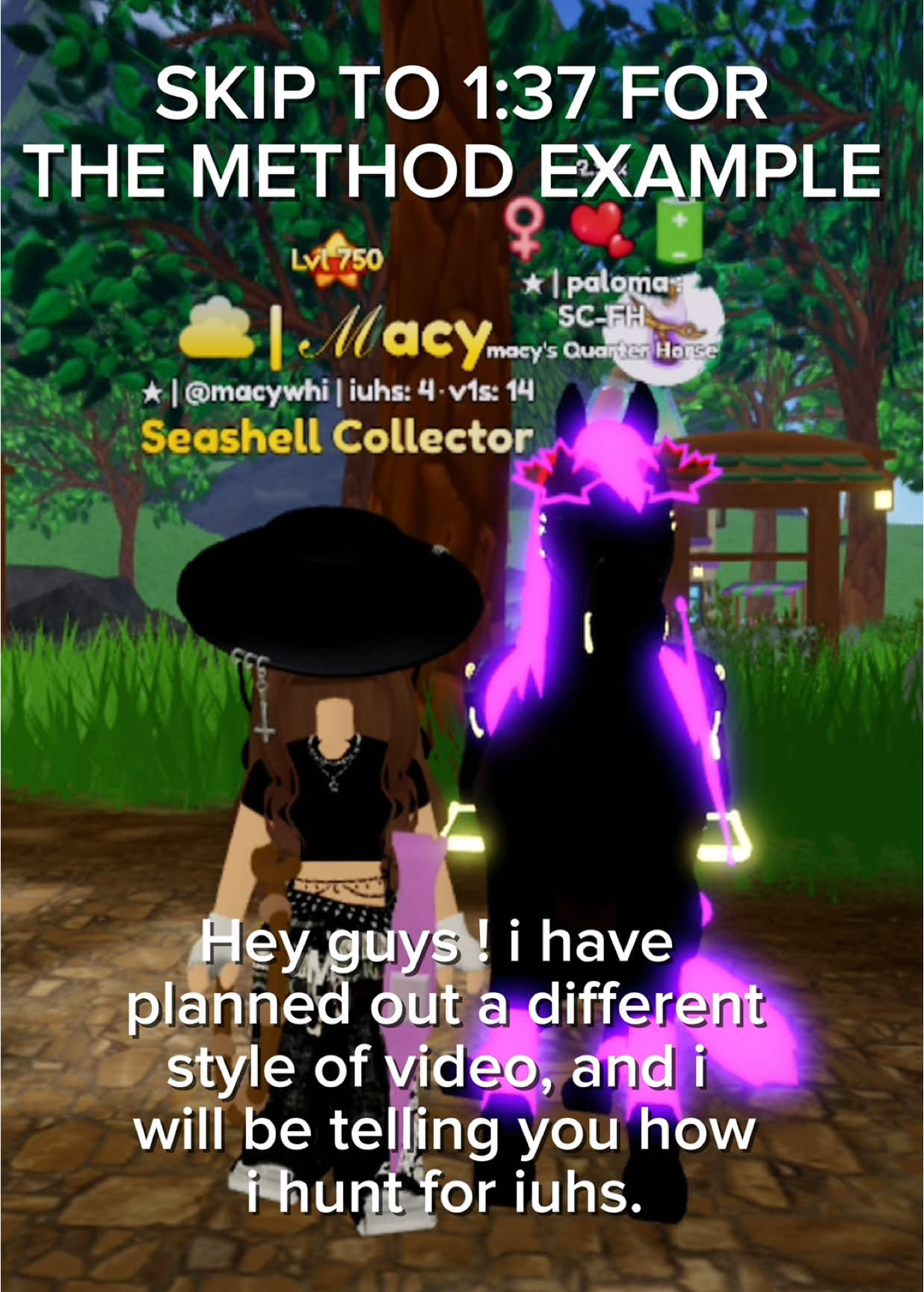 @❮ Macy ❯