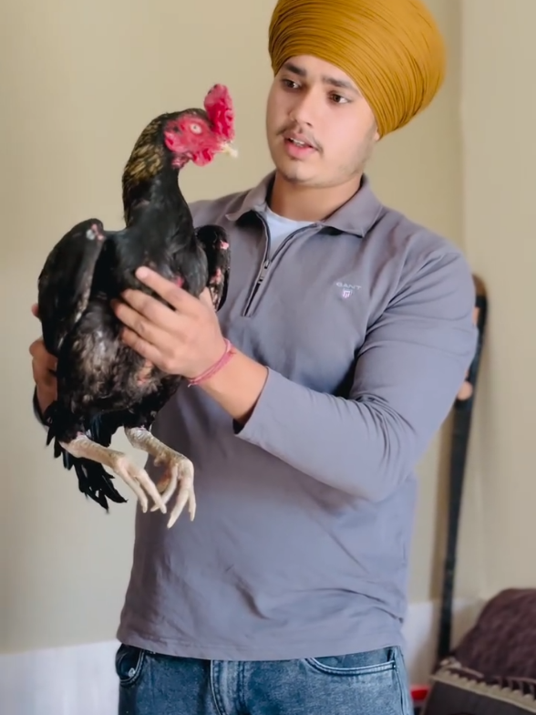@Harinder Rajput 🇮🇳