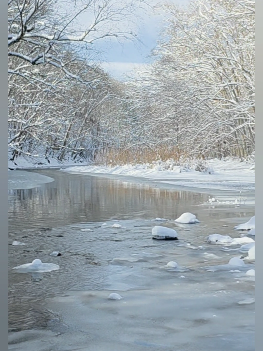 @PA Creek Walker
