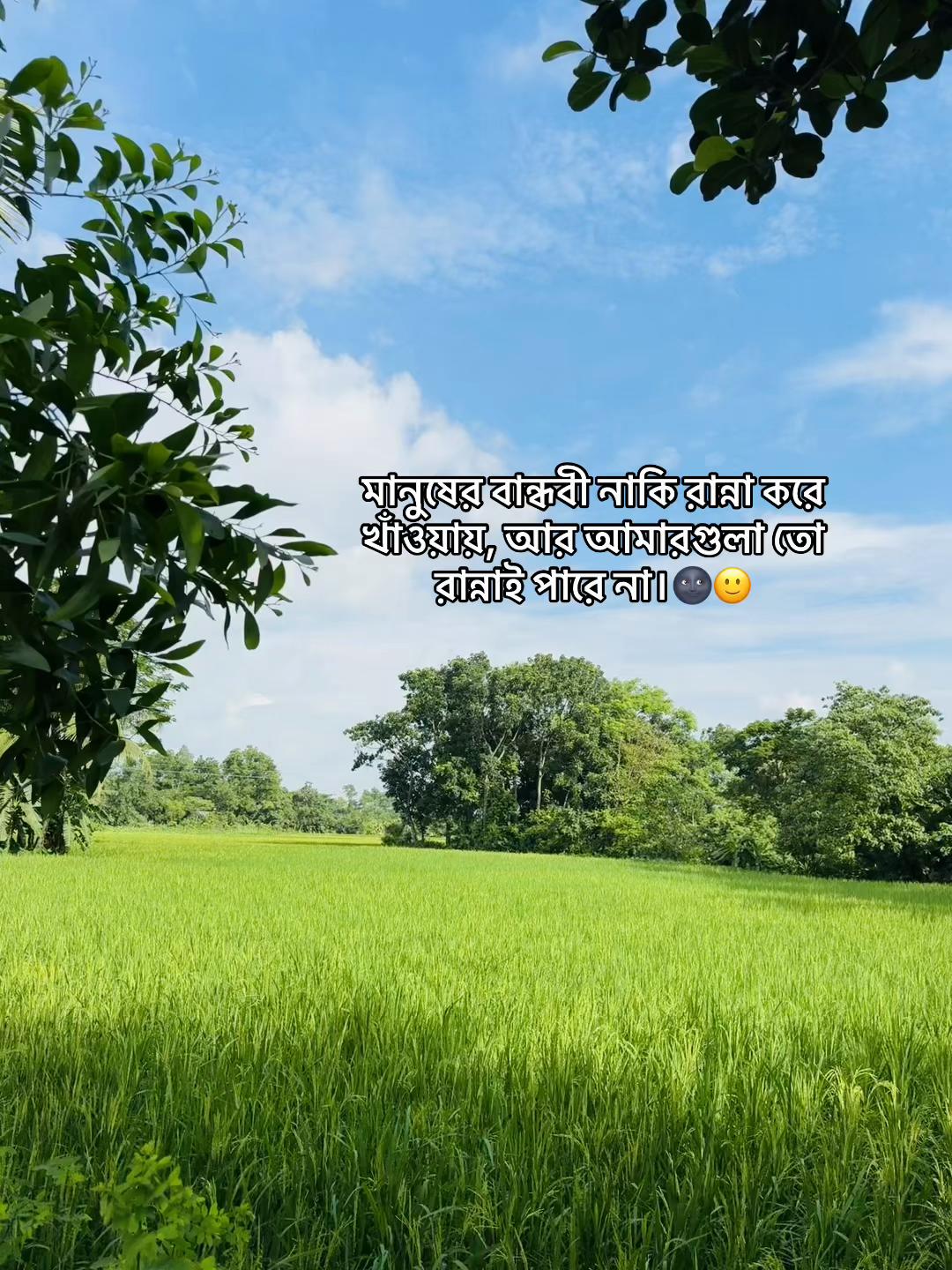 @🌝𝙎𝙊𝙐𝙍𝘼𝙑🌝