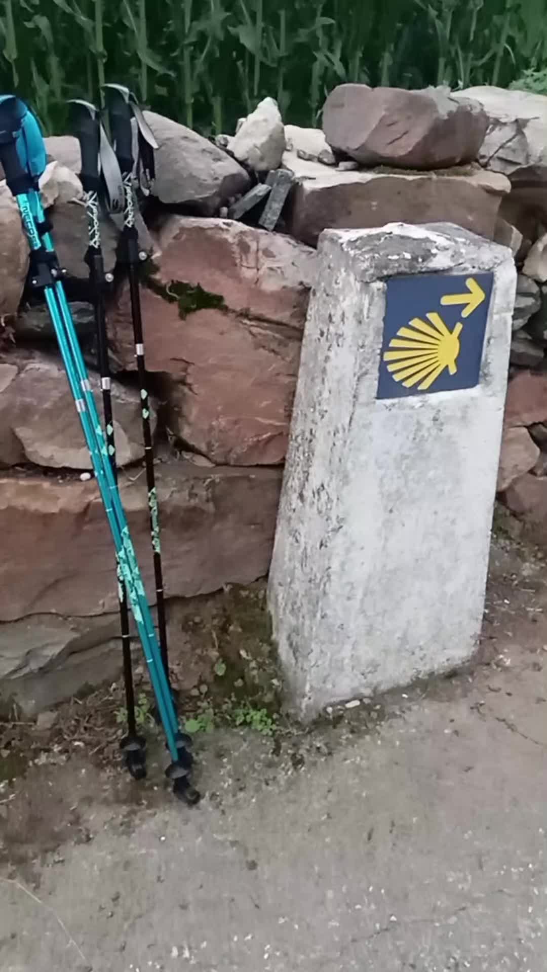 @CAMINOQ+