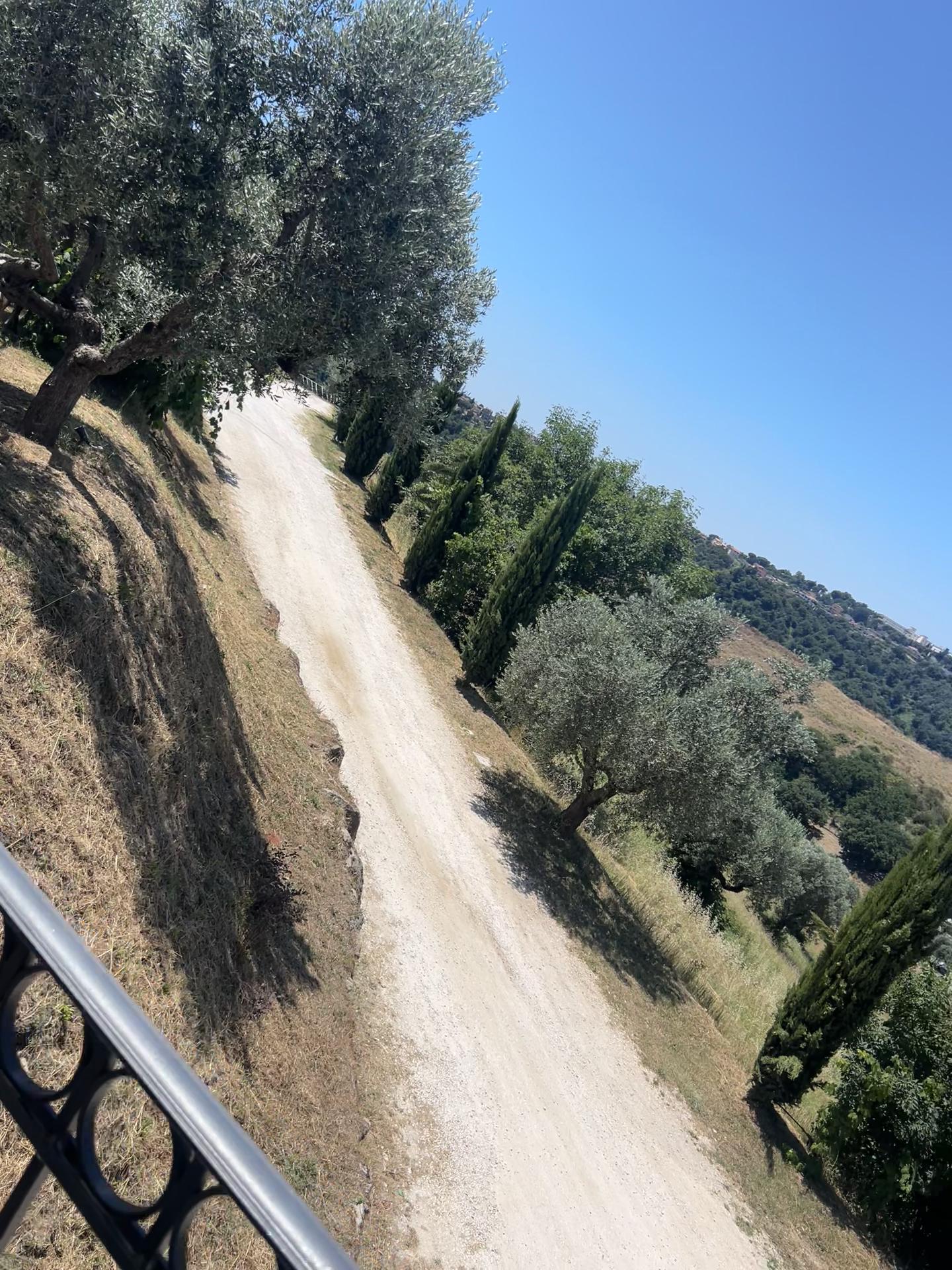 @Livio Brandi