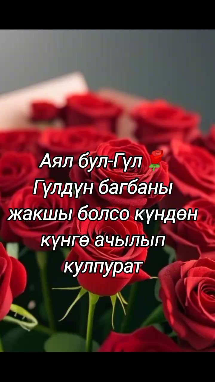 @BERMETIC