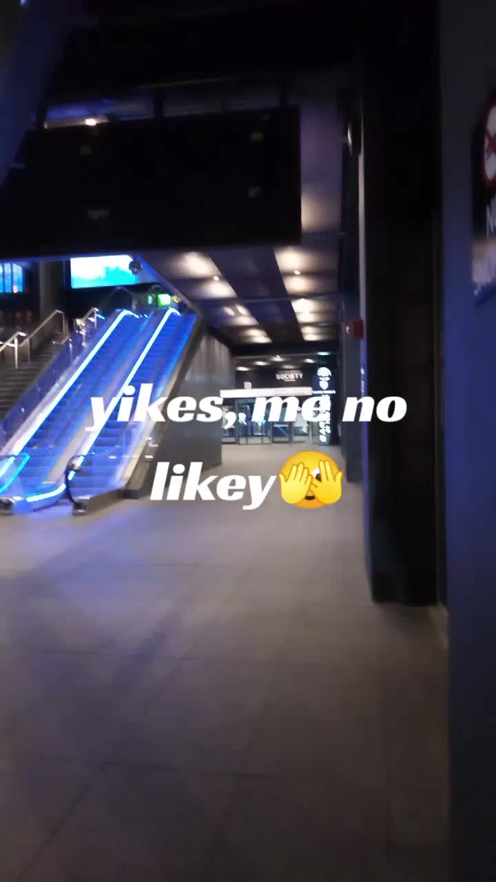 @vandolleyeztheworld