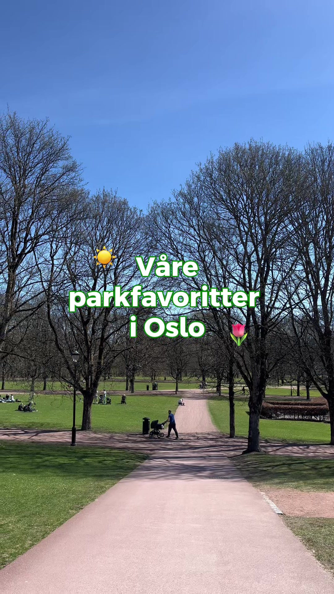 @Mer av Oslo