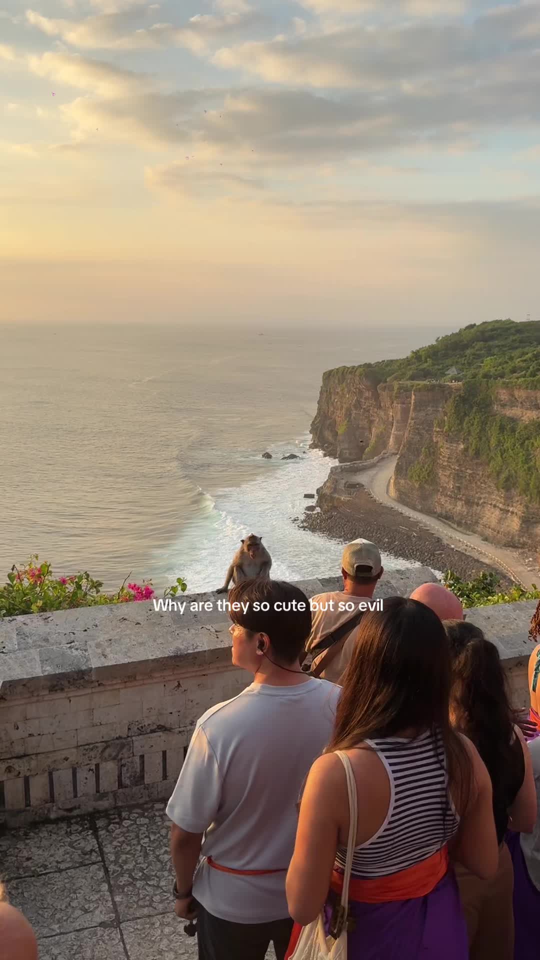 @Ellie-may