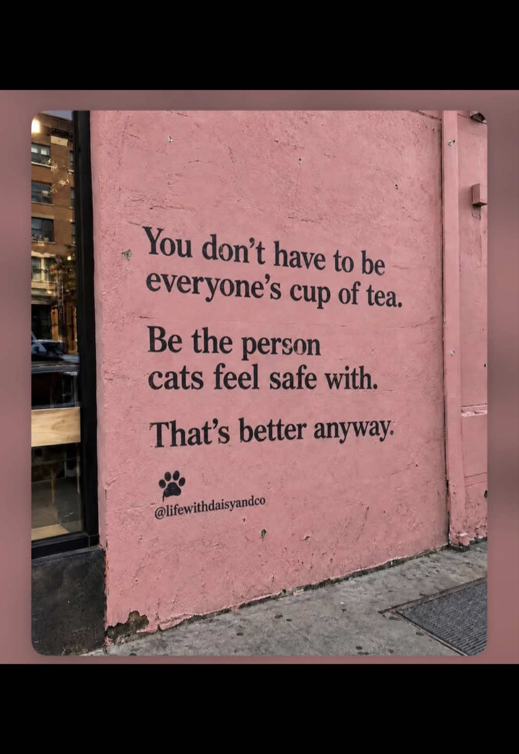 @LucyLu🏴💜🥾
