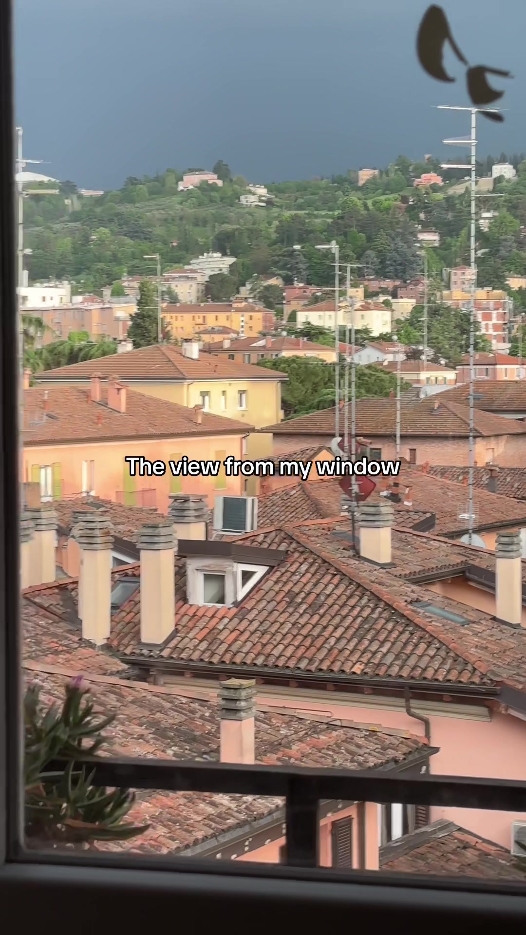 @Cecilia Polacchini
