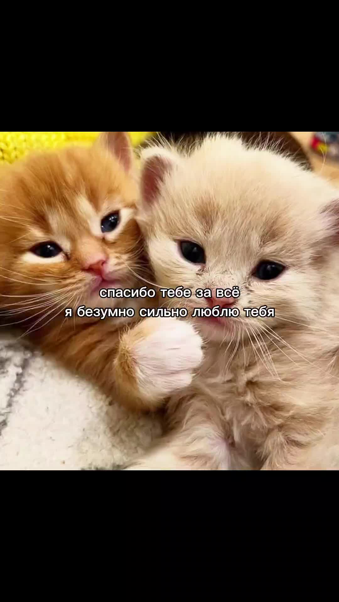 @dwee