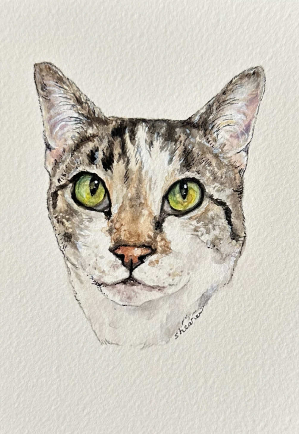 @Pet Portrait Artist