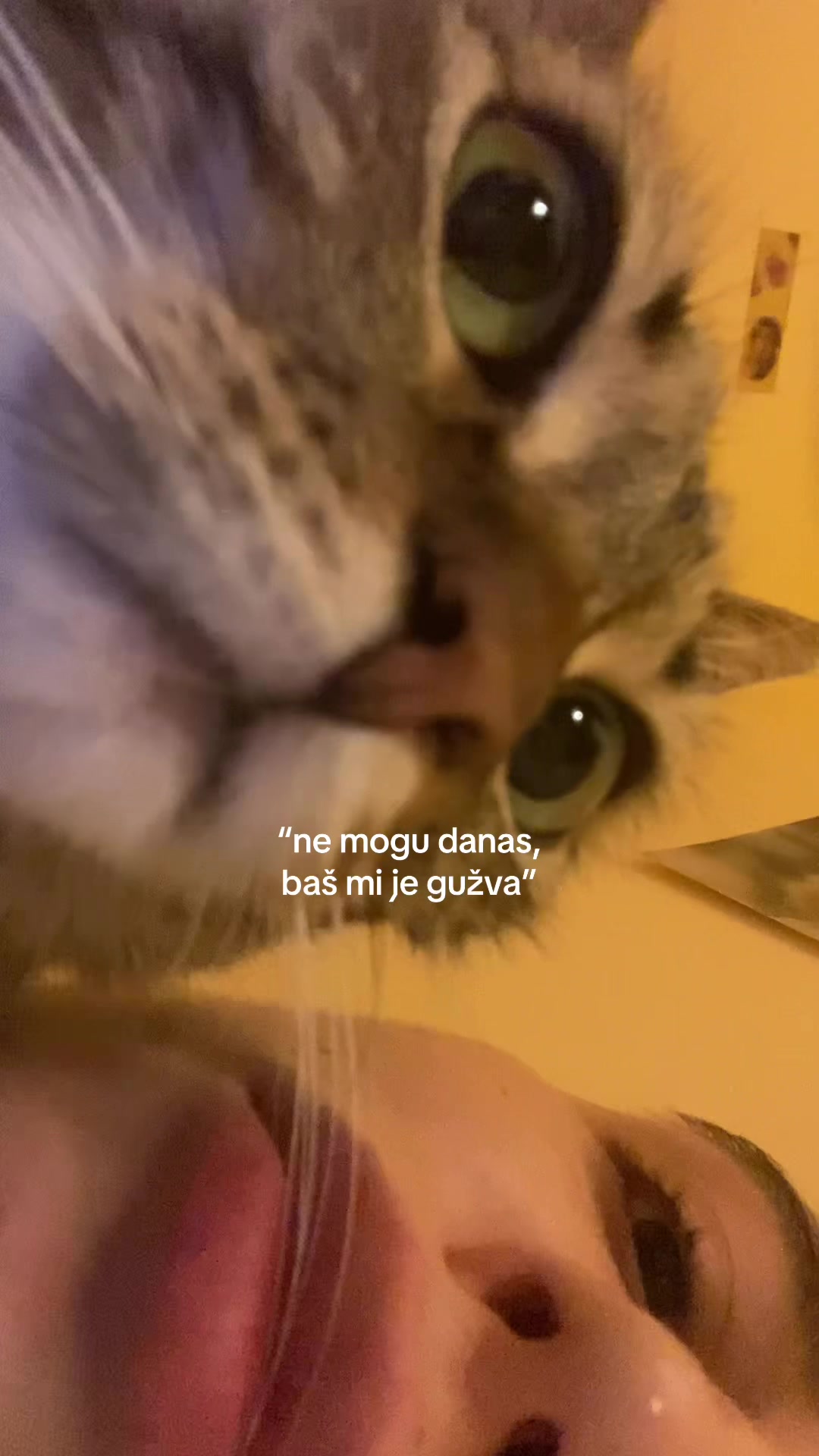 @dorchiii ✮⋆