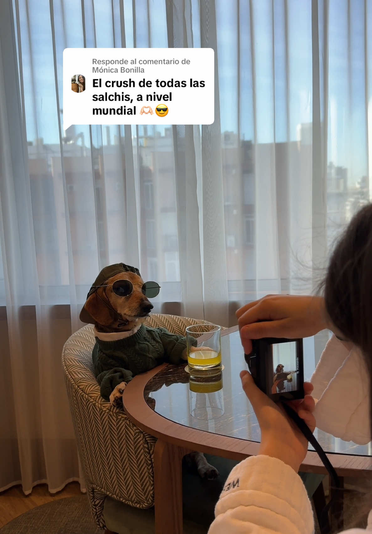 @Lucas The Dog