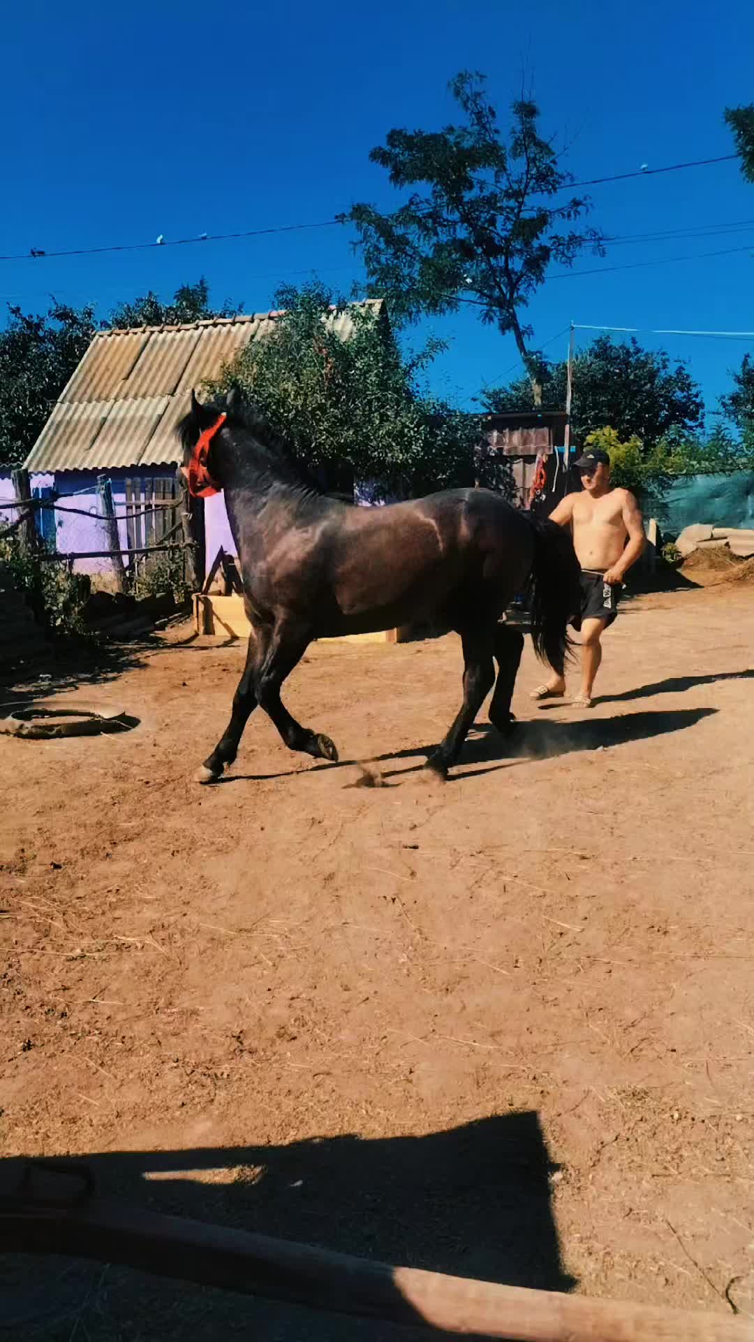 @Cătălin