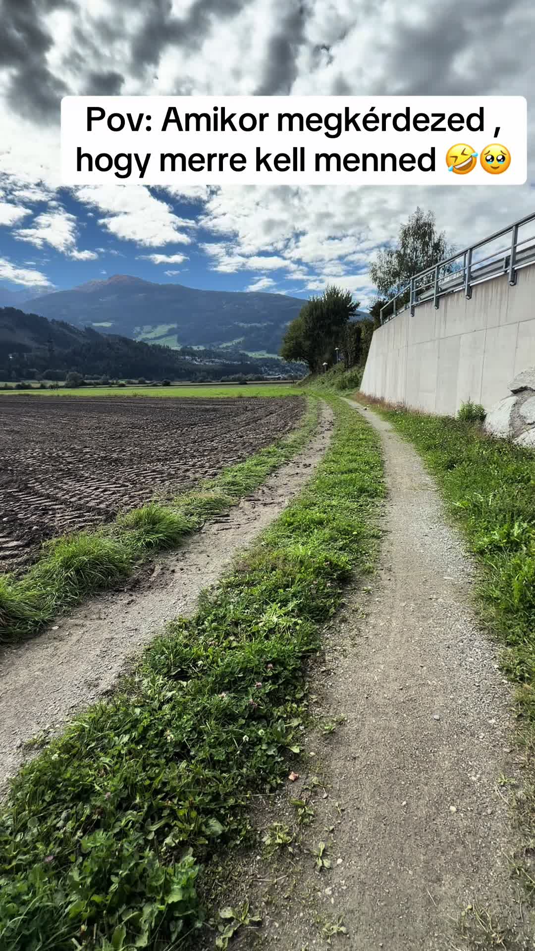 @Viola Csapó