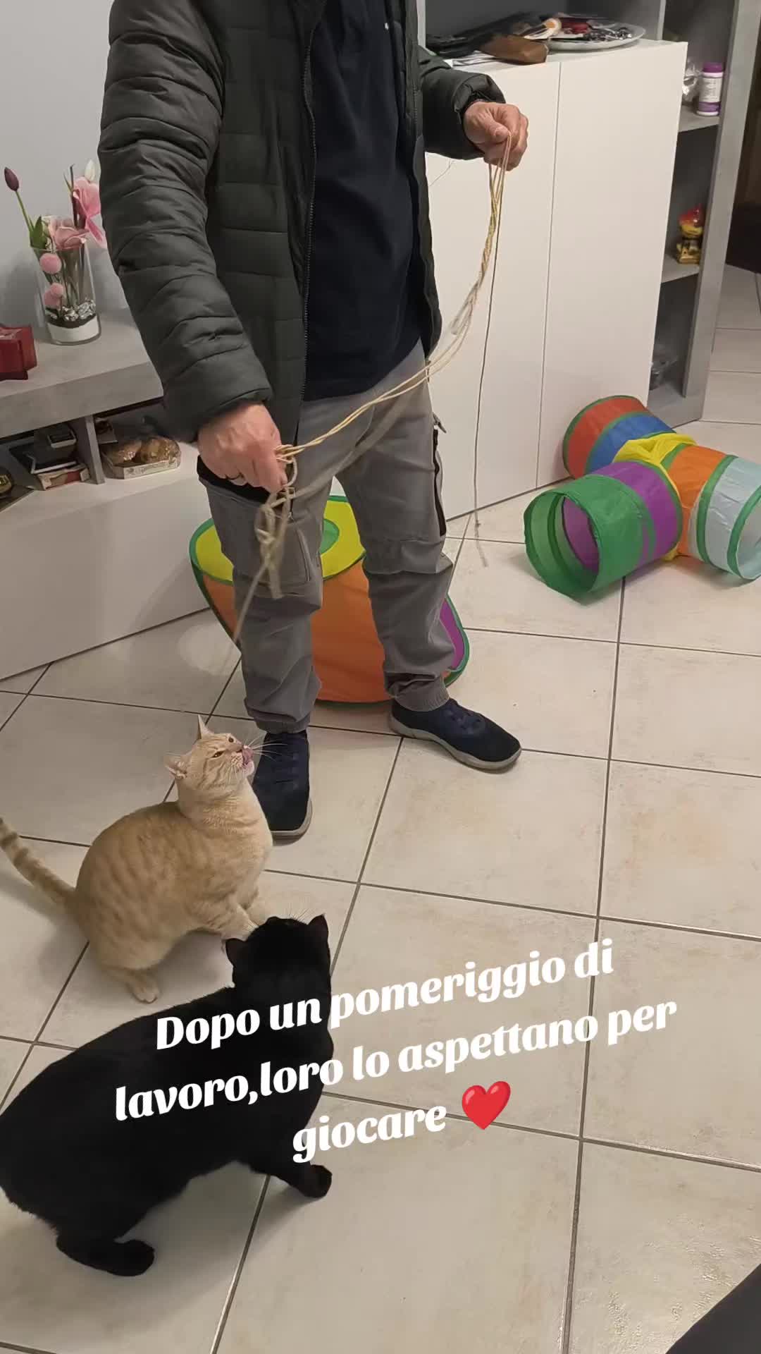 @Pina