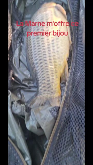 @Fish hunter