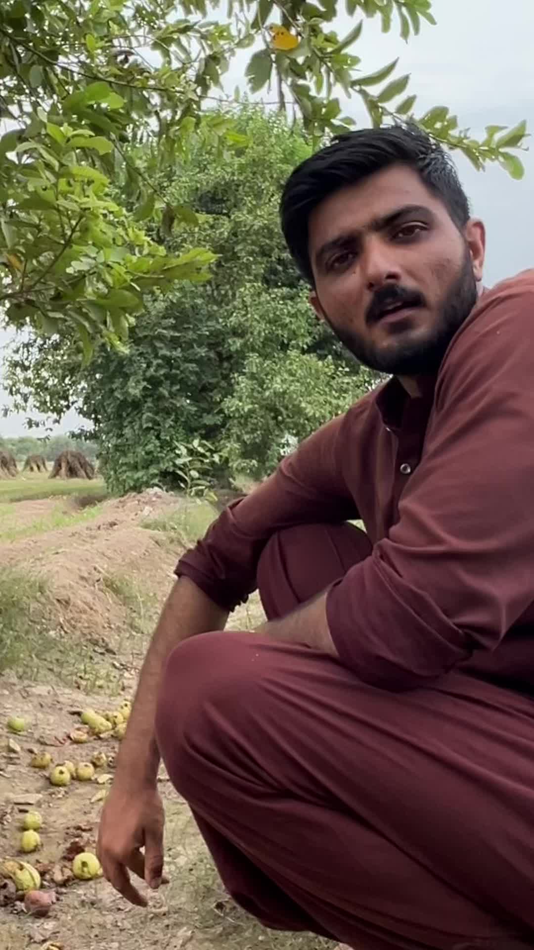 @agritalkwithfahad