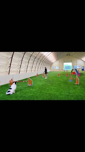 @Kuromi succuba