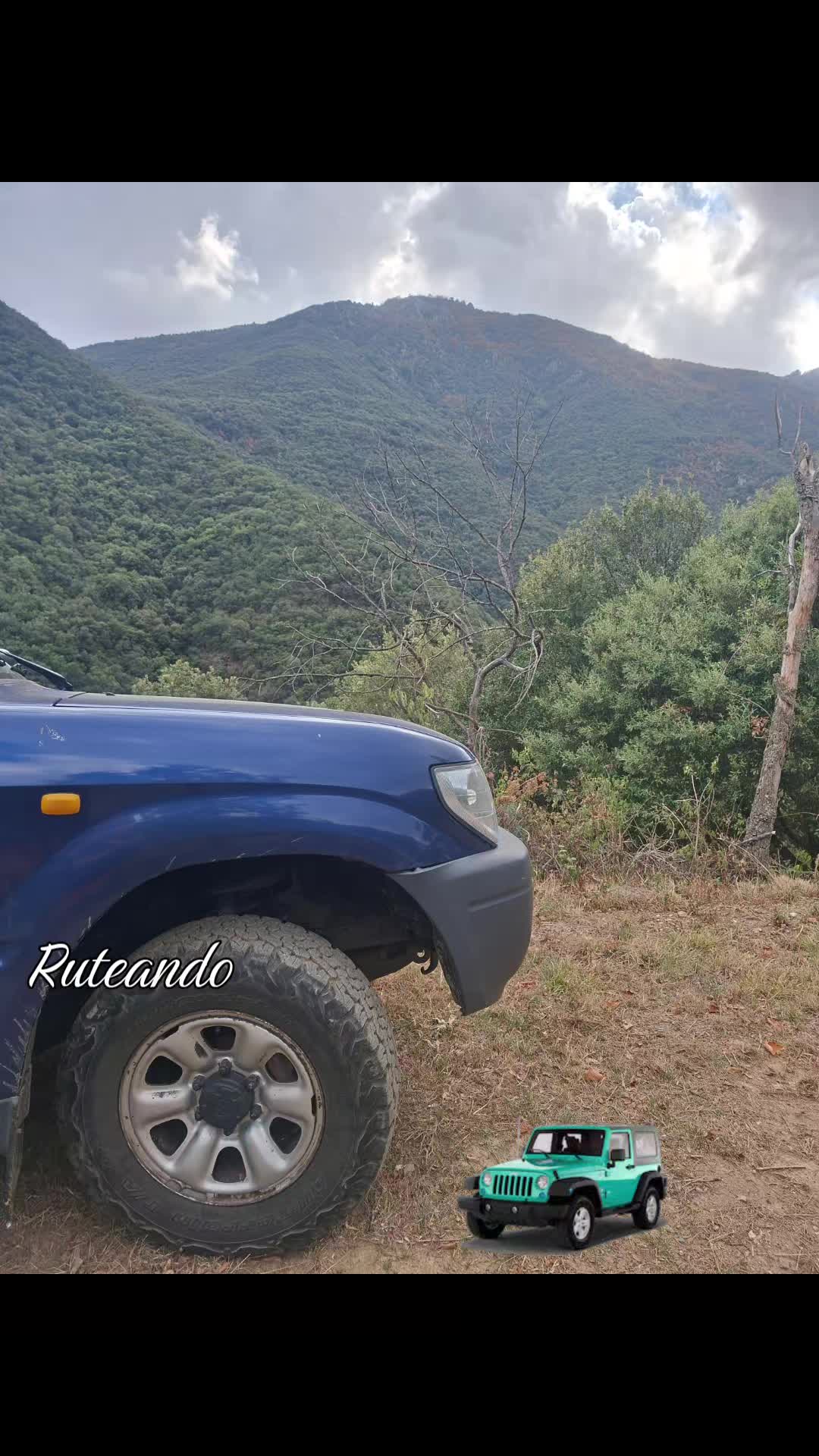 @silviesurvivor