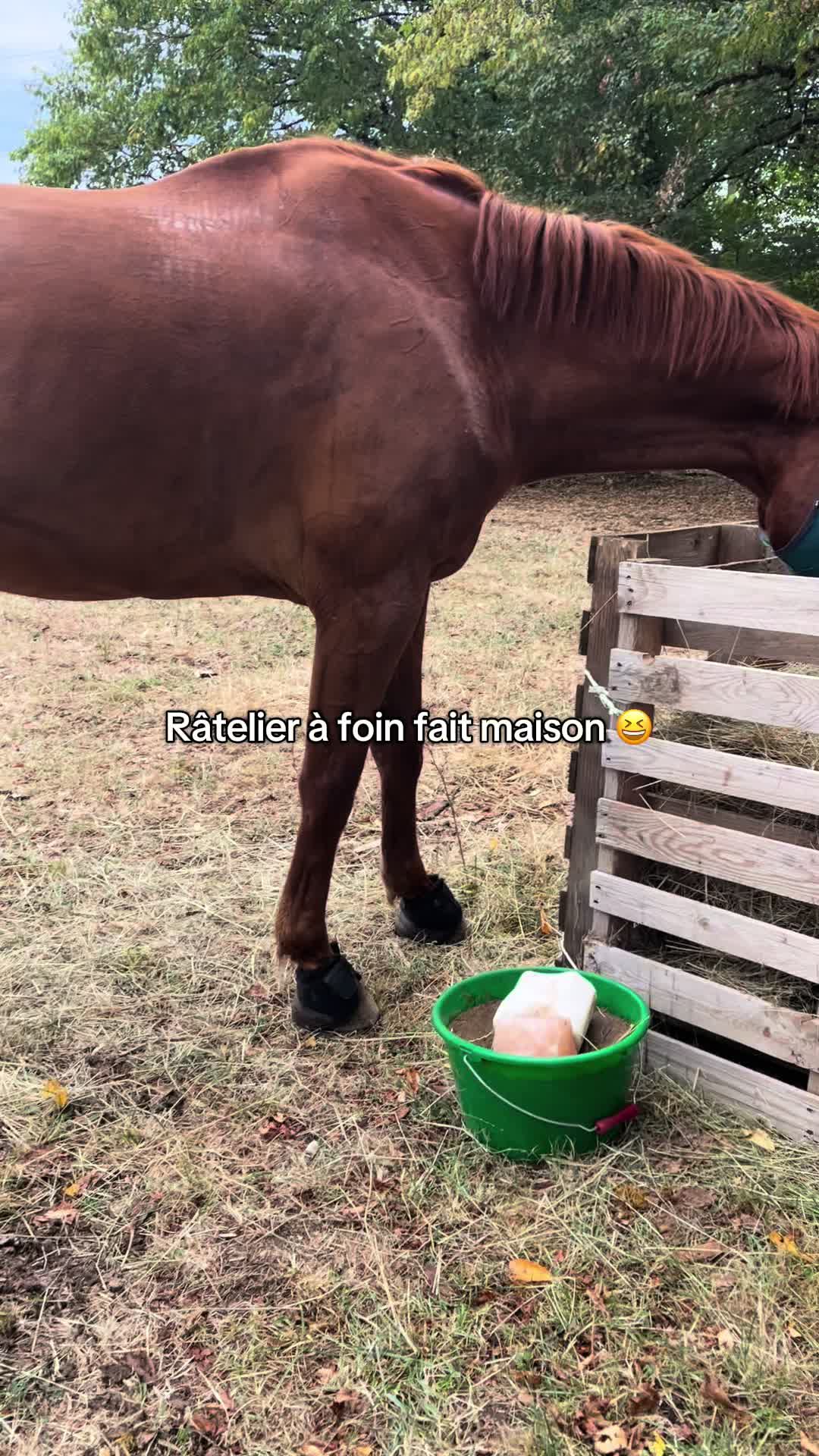 @Rolly&compagnie