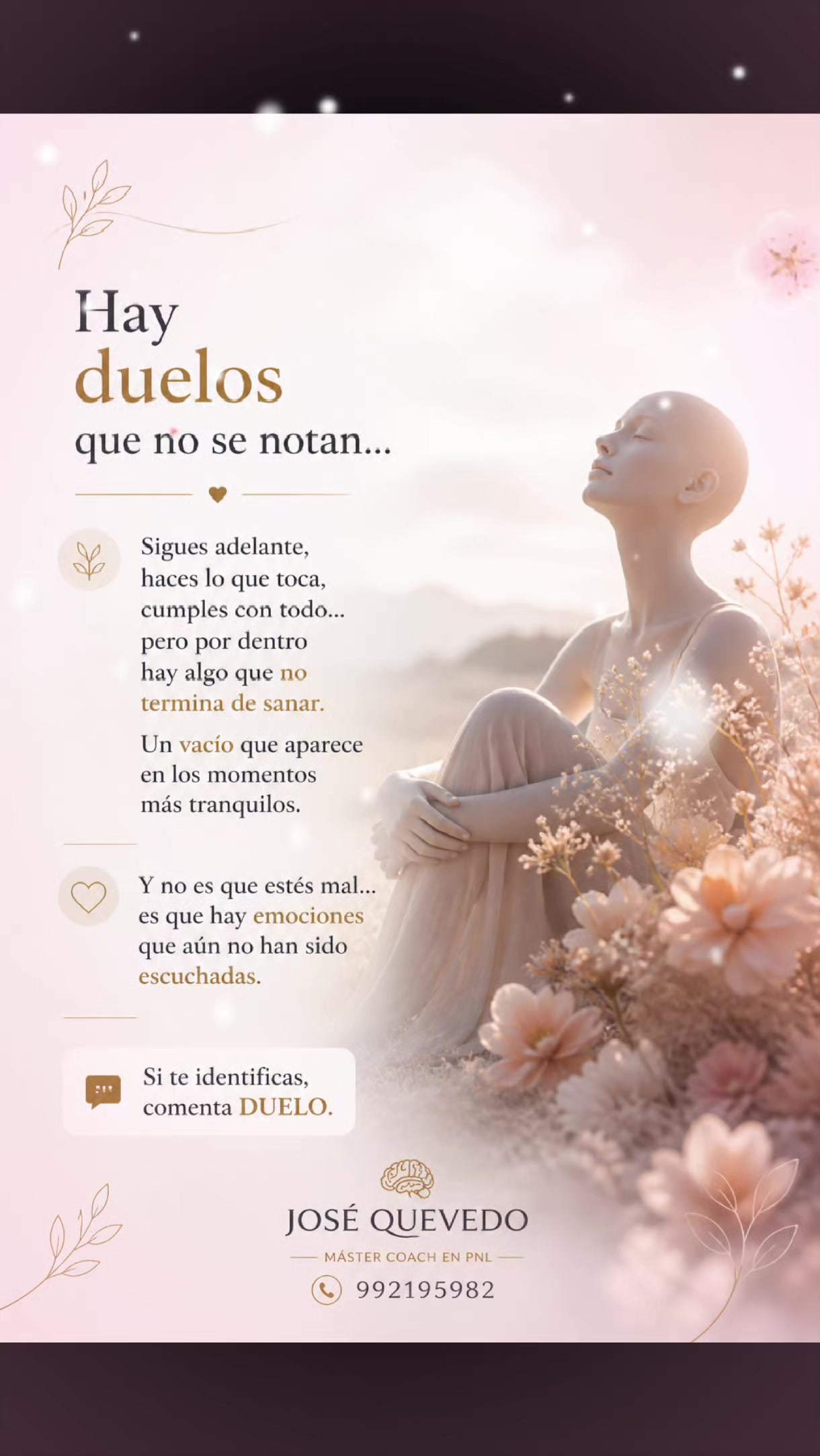 @Jos&eacute; A. Quevedo Navarro