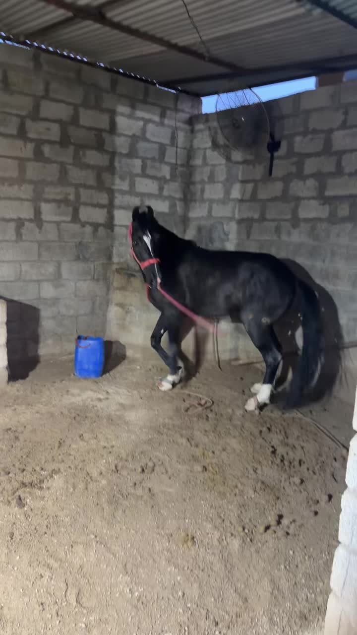 @𝗗𝟰𝗪𝗜𝗜
