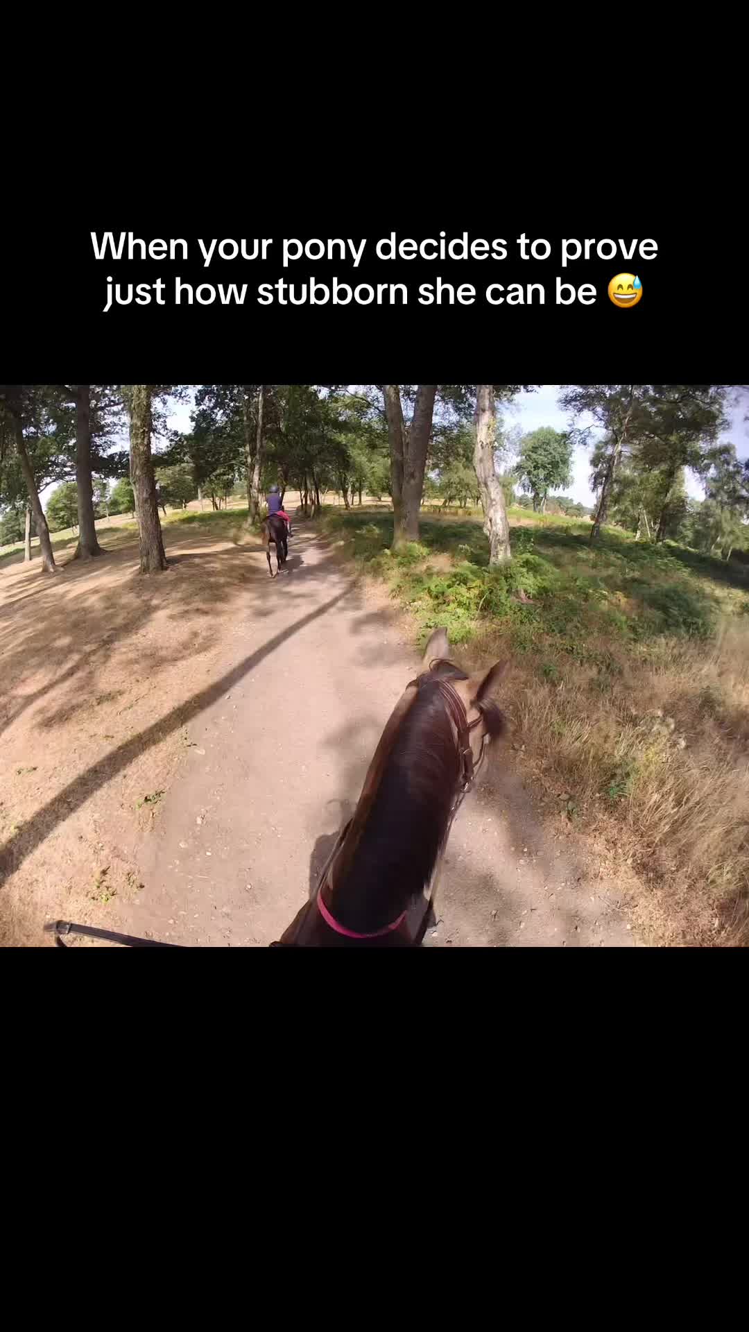 @AgirlandherShadow1