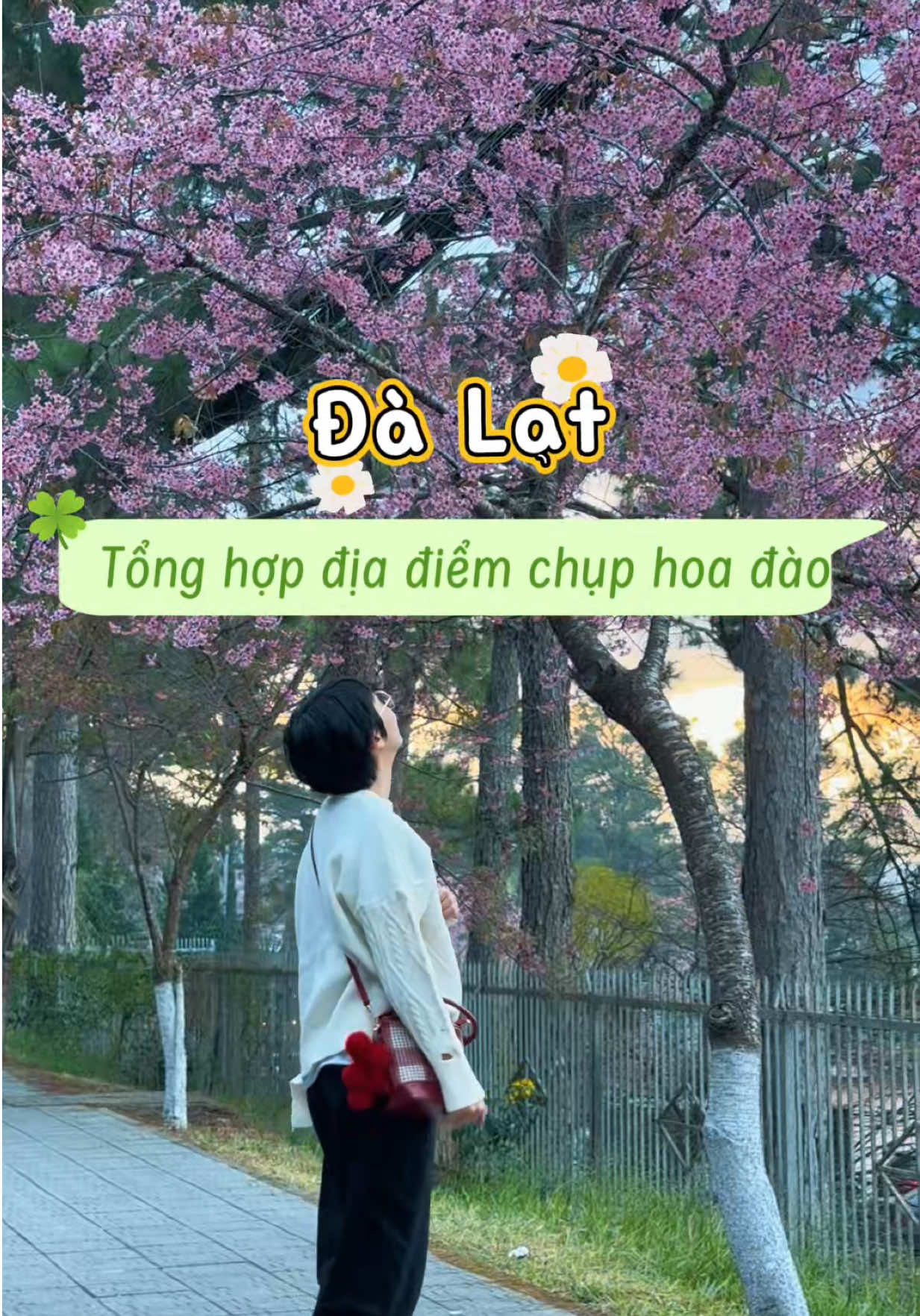 @K&Uacute;N ĐẾN Đ&Acirc;Y 🐾