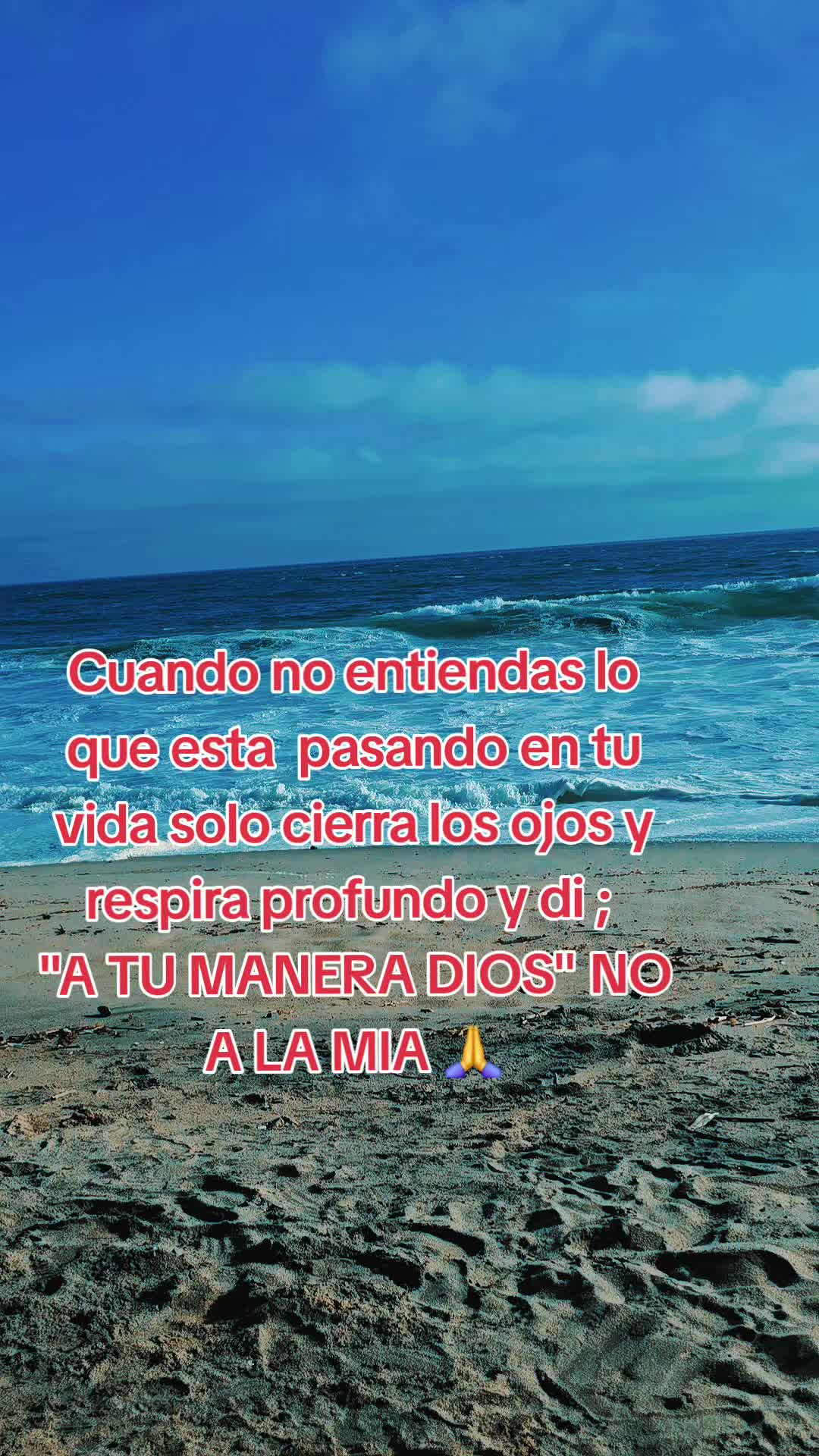 @Sandy Mg