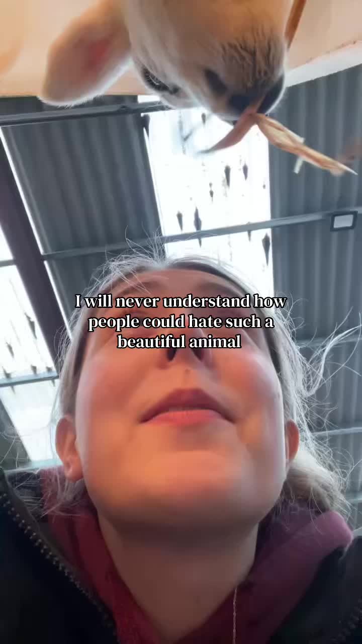 @Naomi <3