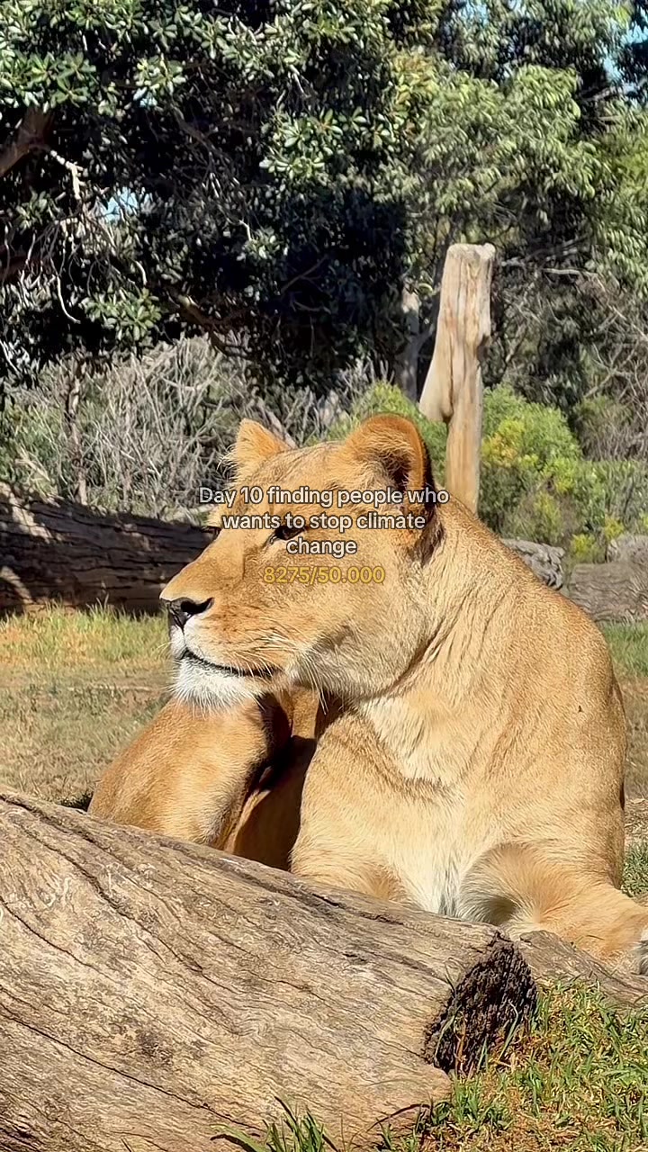@help.the.planet