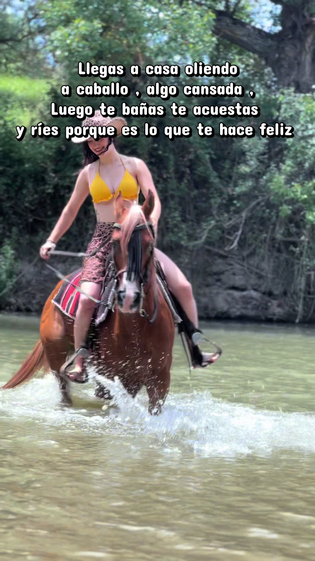 @KaliEquestrian🐎