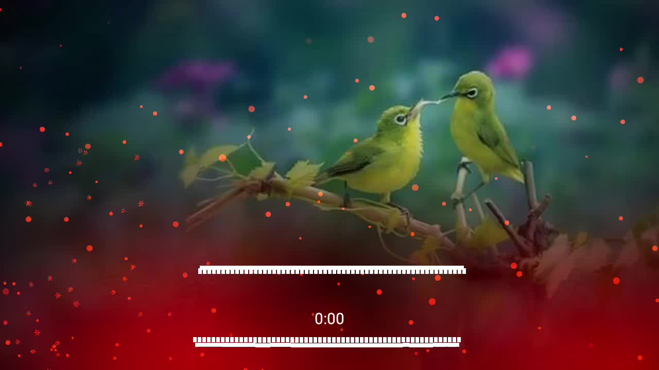 @ammusic.official