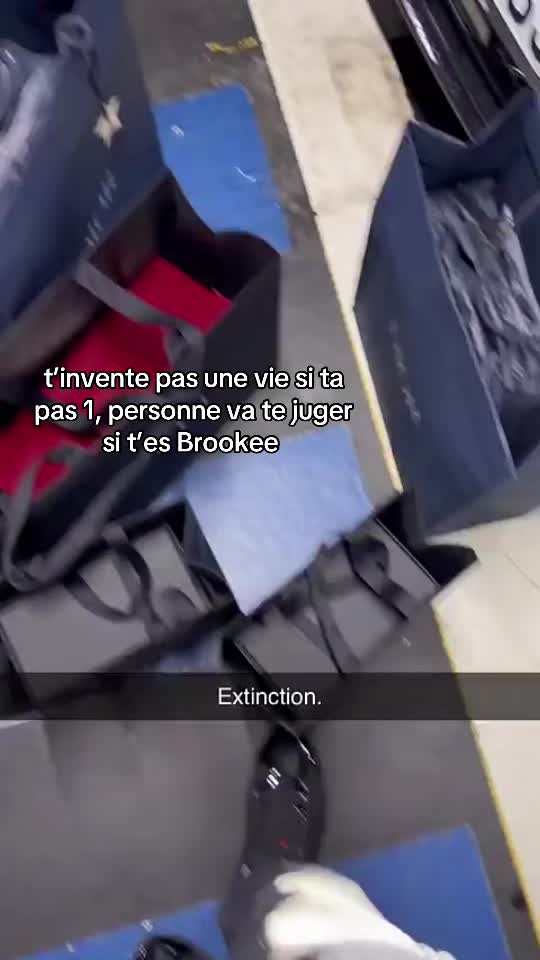 @LA VIE DE MITCH🇫🇷