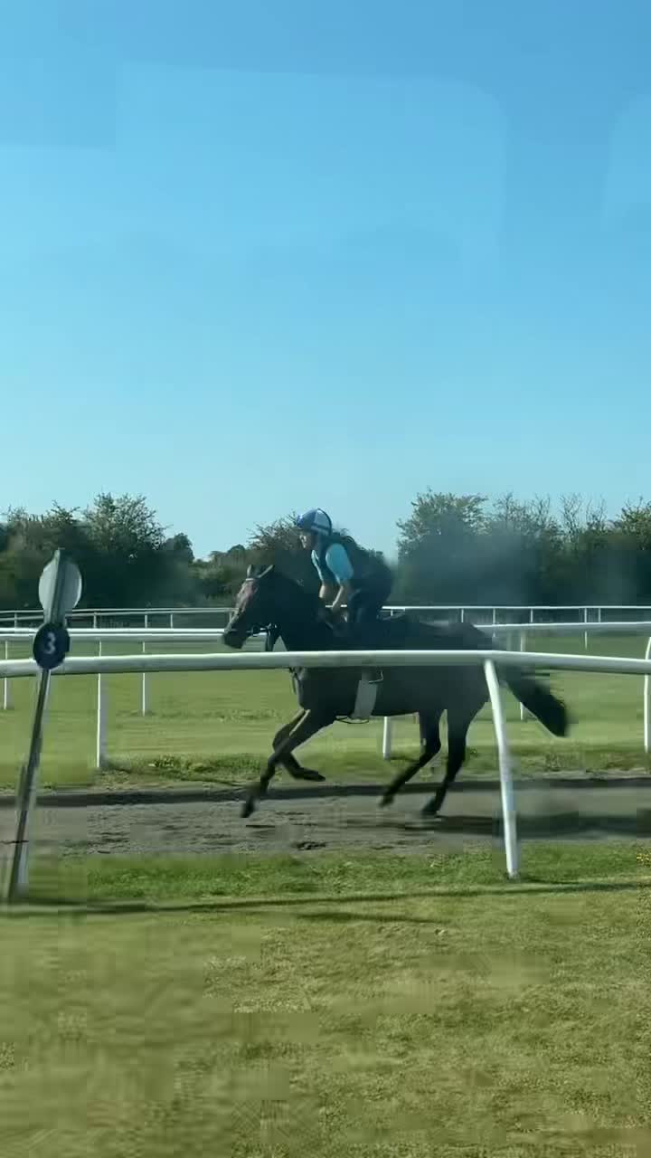 @julia 🏇🏻