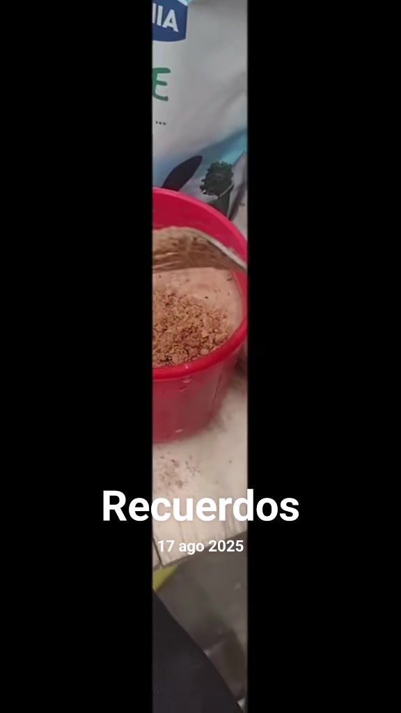 @DerlisLugo0215🇵🇾🇦🇷
