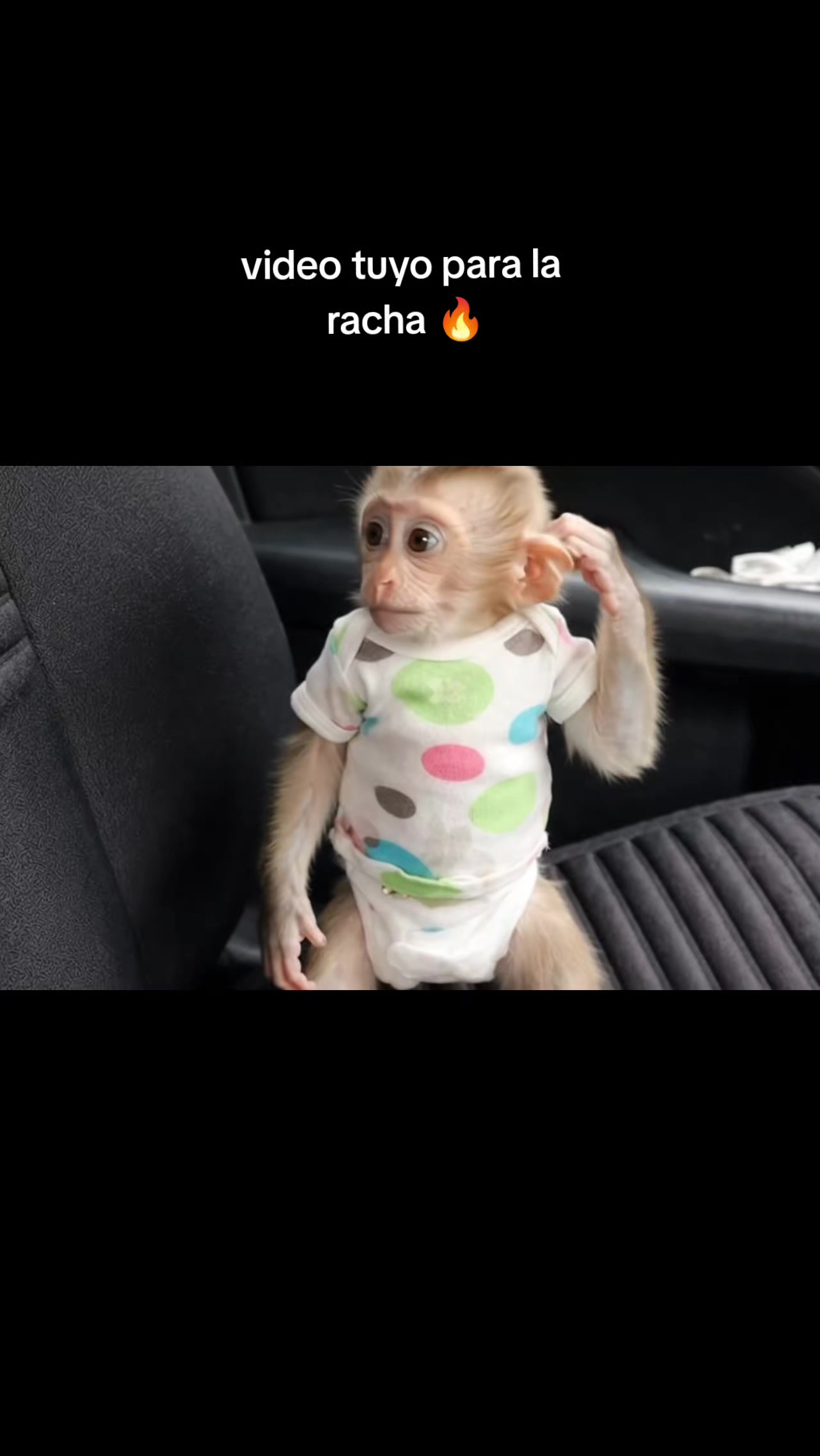 @RabPesito 🔥