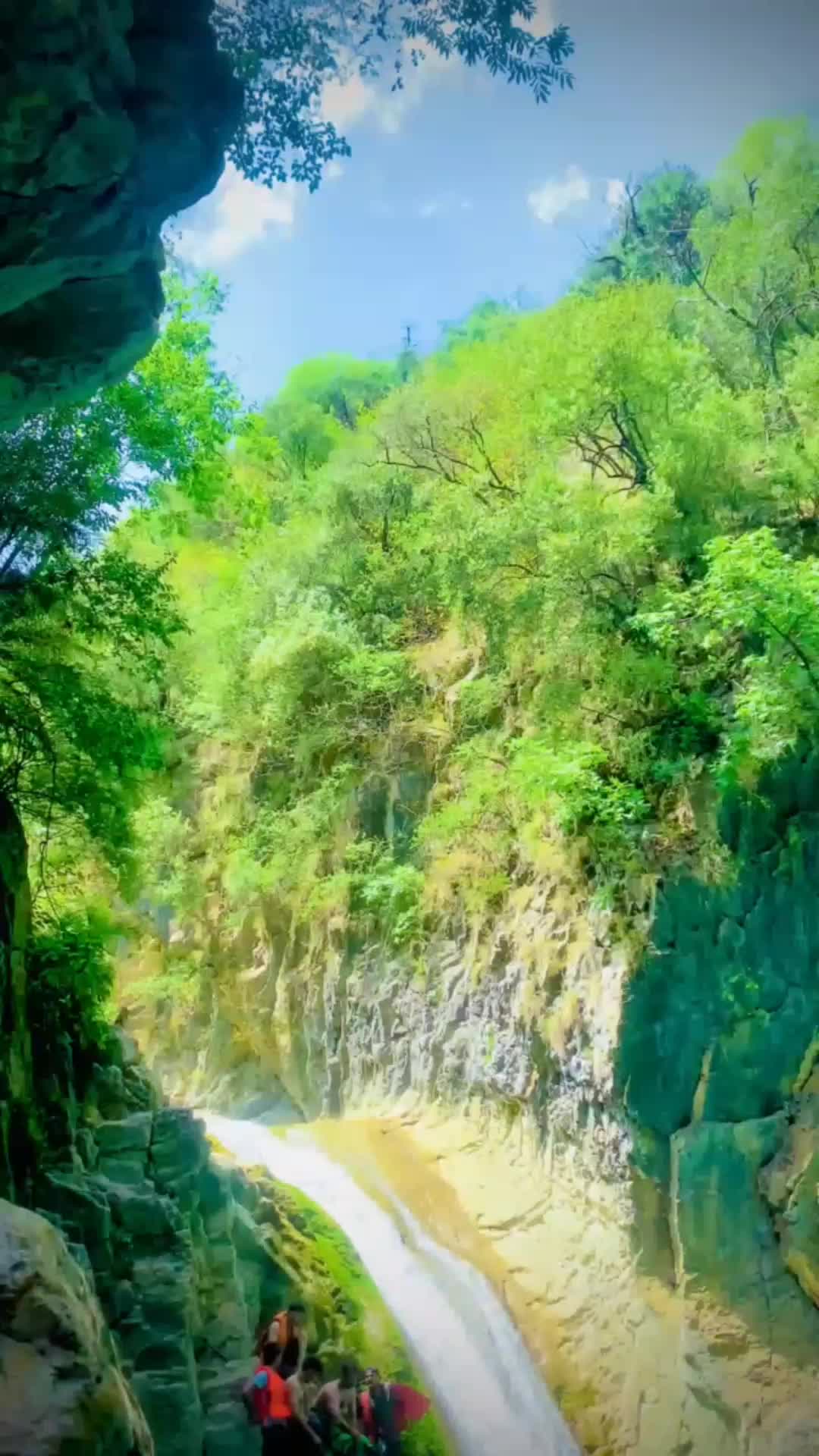 @aimamalik