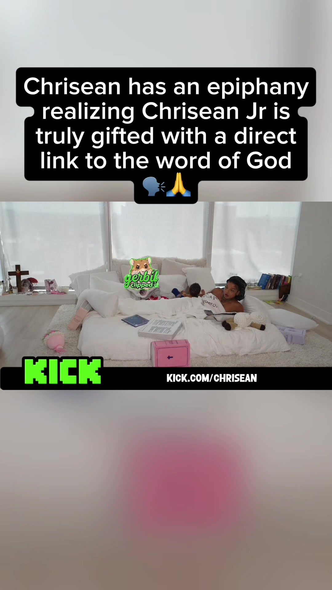 @gerbilclippedit