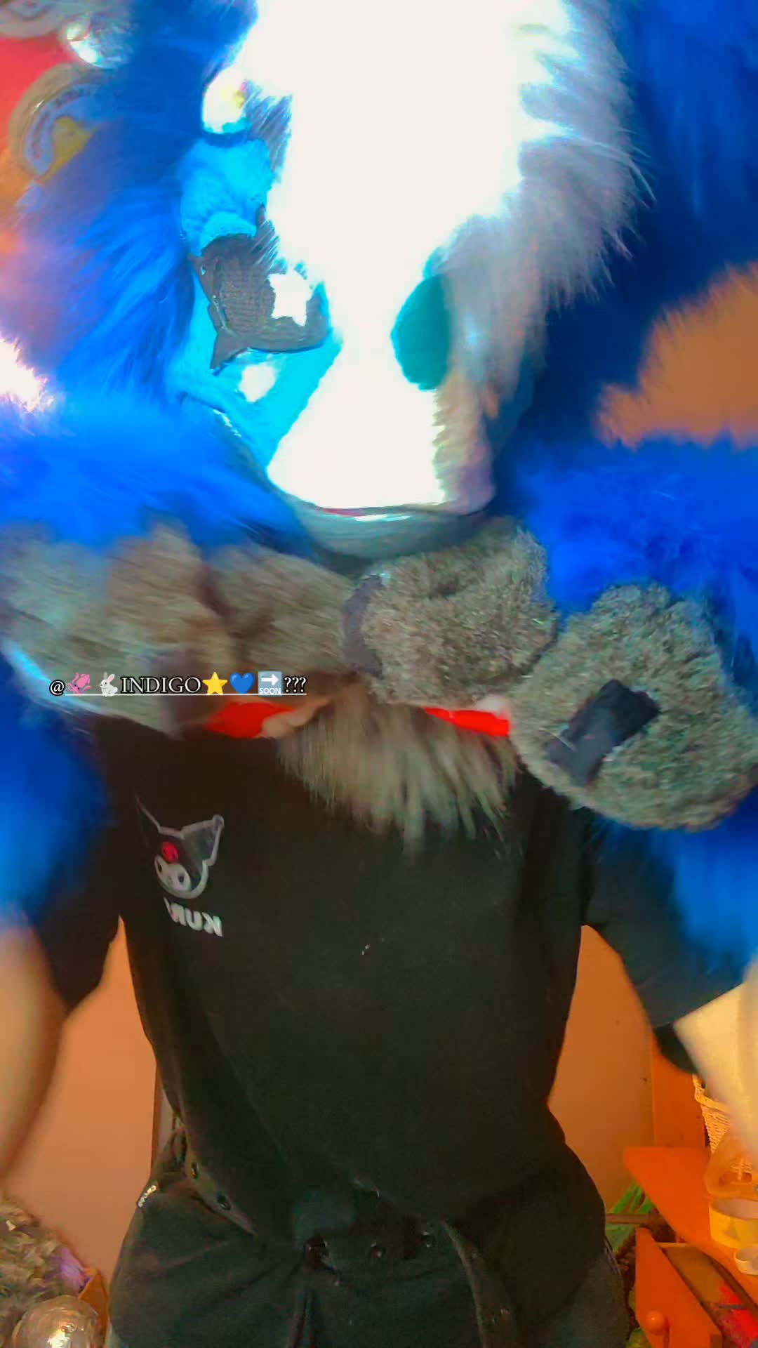 @NellieFur_v2🔜?