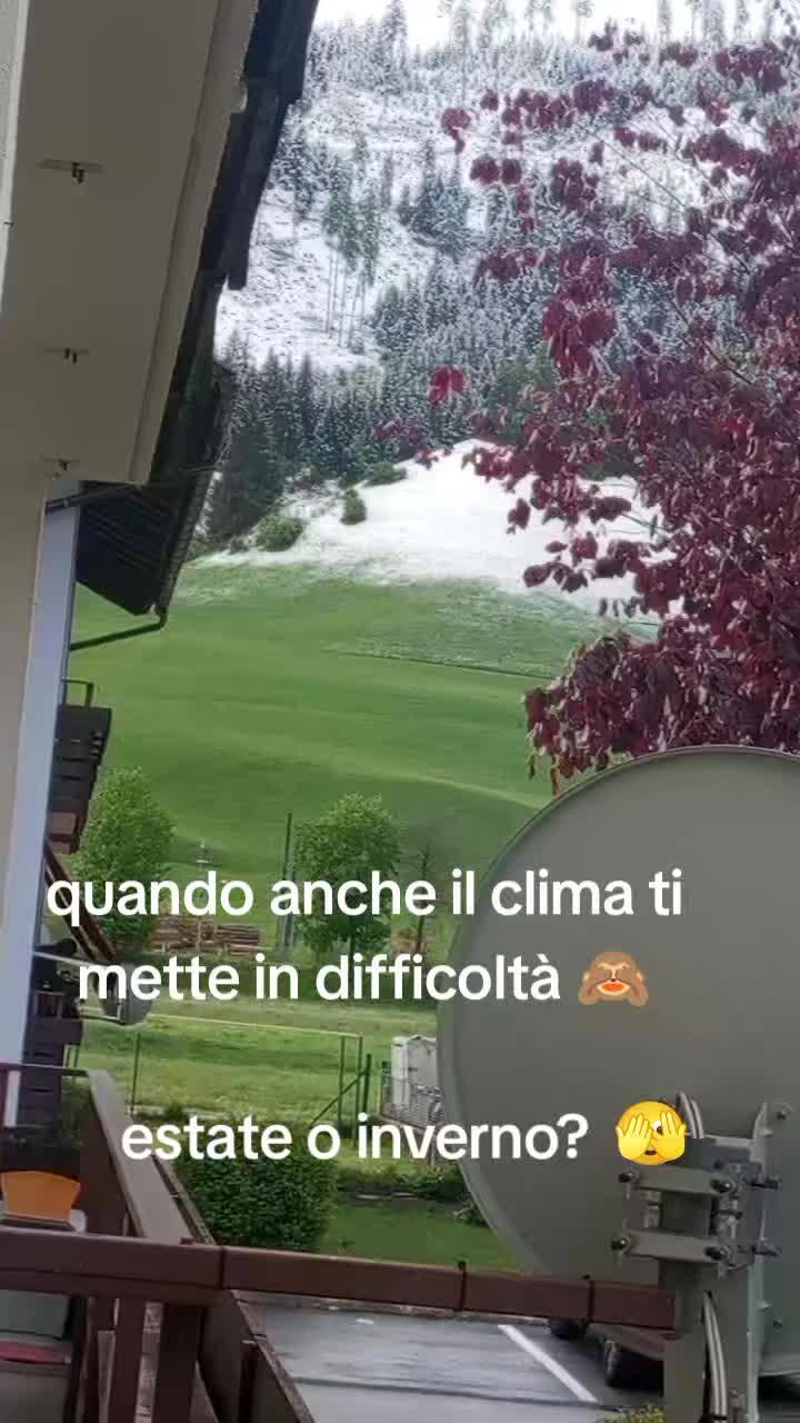 @angela