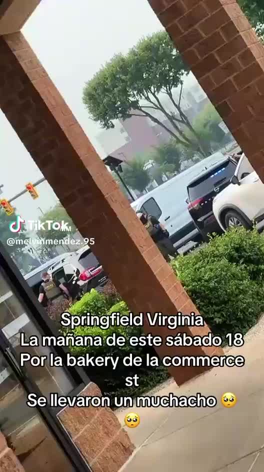 @el  tigre aleman7850