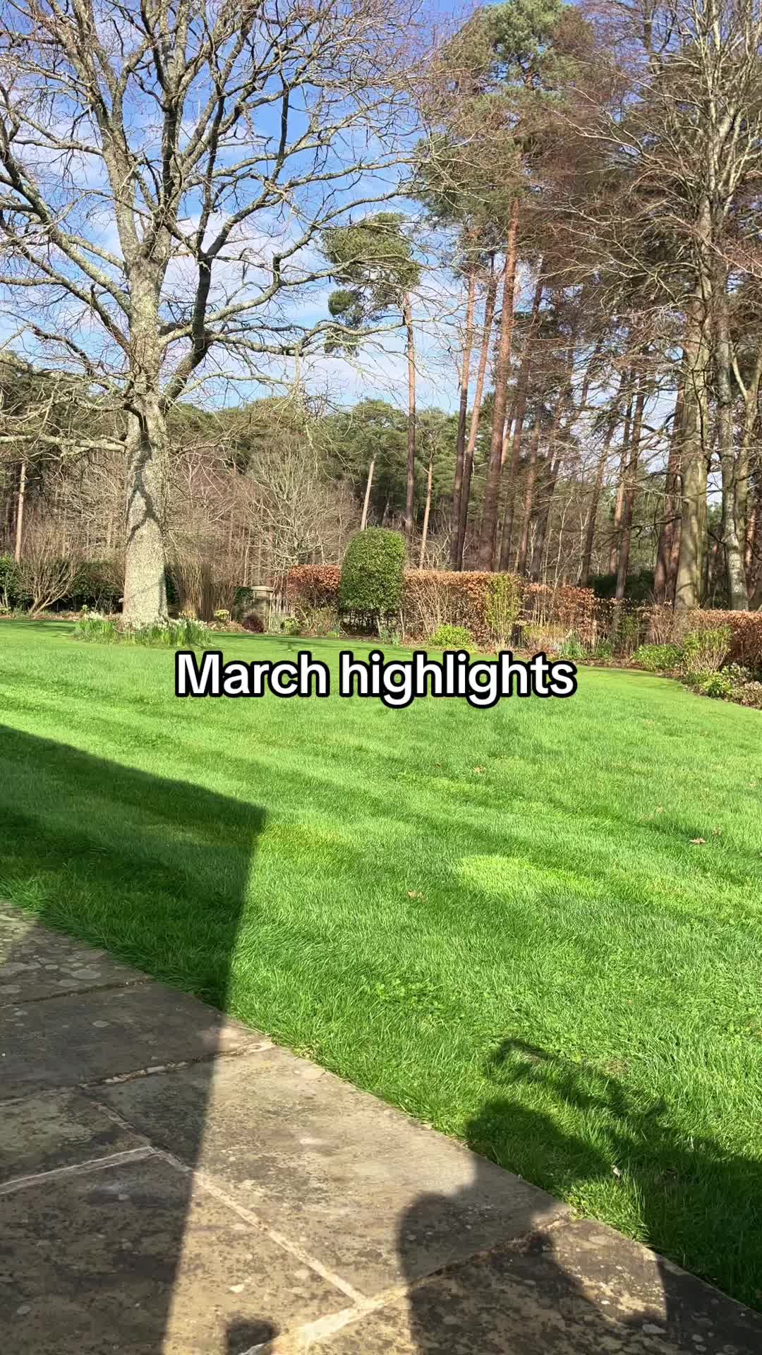 @All The Small Plants