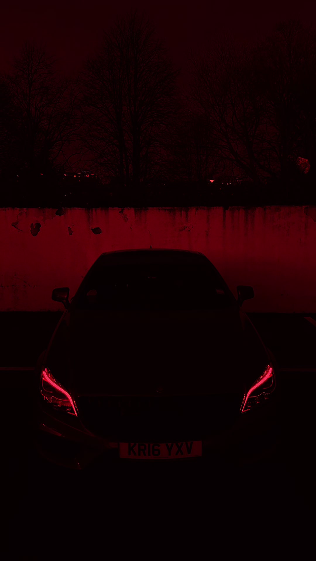 @🌶️SpicyBenz🌶️