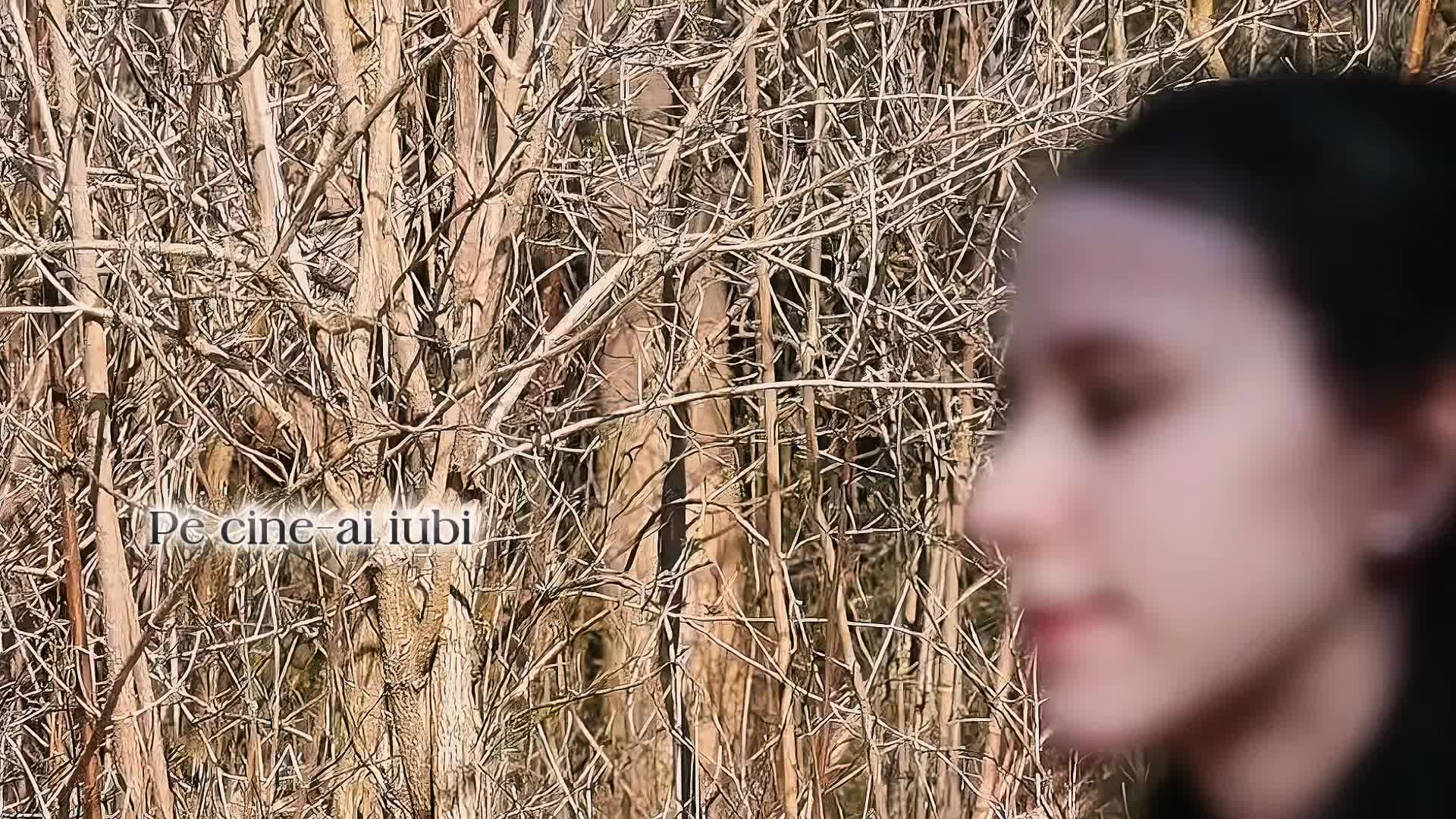 @a.hadi.di