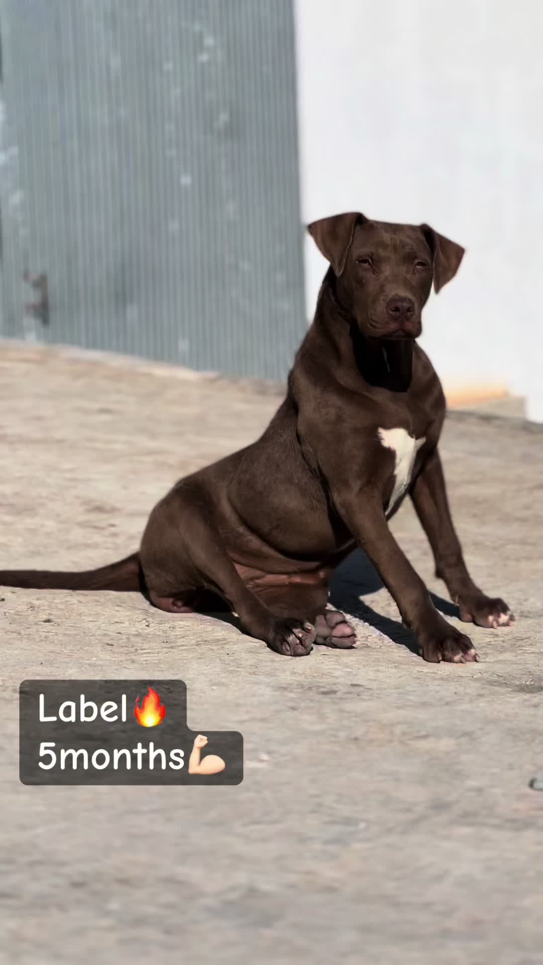 @kbaier